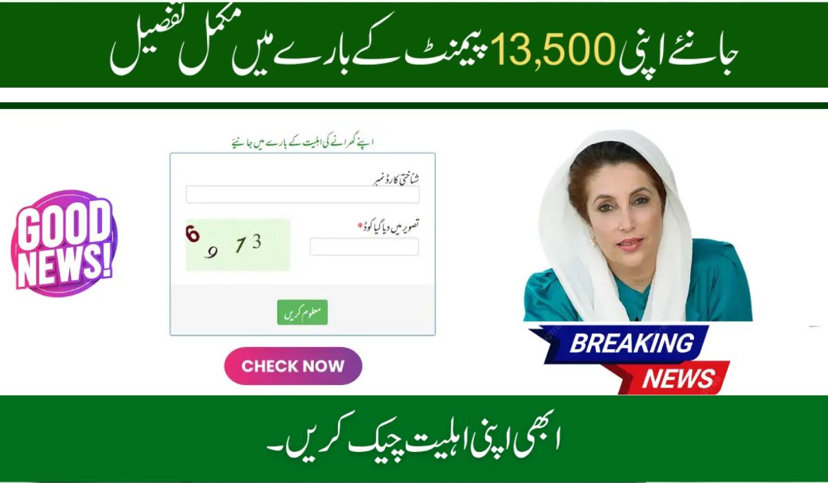 8171 Web Portal CNIC Check and BISP Payment Status – Complete 2025 Guide