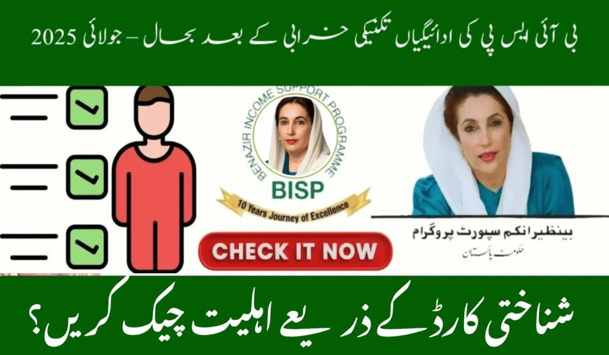 BISP Balance Check Online July 2025 – CNIC & 8171 Portal Guide